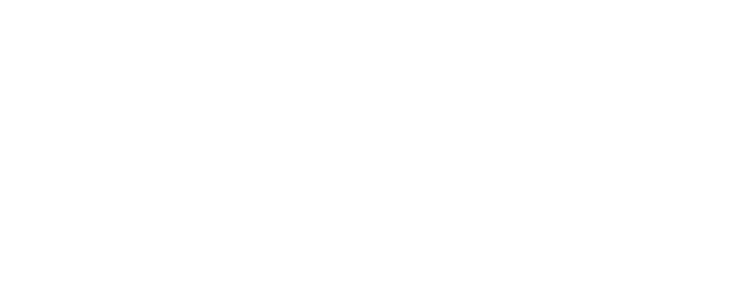 Slice